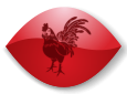 Coq